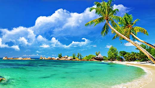 Ho Chi Minh city to Vung Tau by Private car