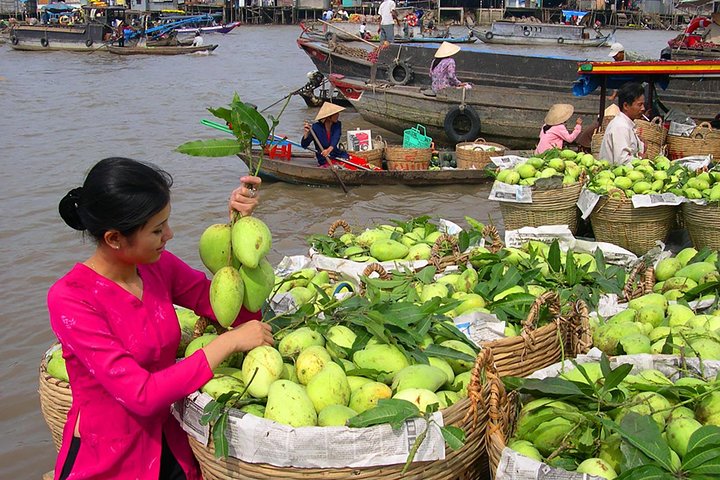 Cai Rang Floating Market Private Day Tour from Ho Chi Minh city